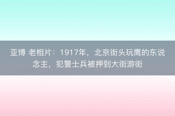 亚博 老相片：1917年，北京街头玩鹰的东说念主，犯警士兵被押到大街游街