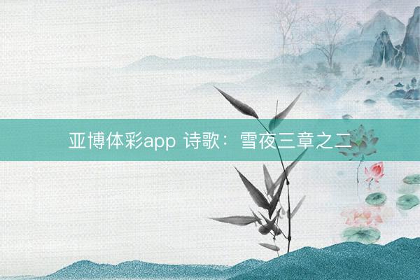 亚博体彩app 诗歌：雪夜三章之二