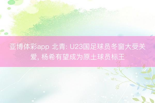 亚博体彩app 北青: U23国足球员冬窗大受关爱， 杨希有望成为原土球员标王