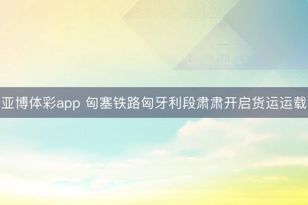 亚博体彩app 匈塞铁路匈牙利段肃肃开启货运运载