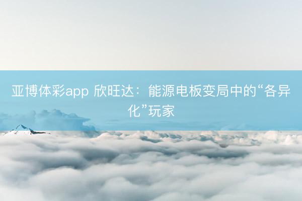 亚博体彩app 欣旺达：能源电板变局中的“各异化”玩家