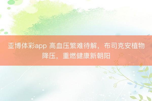 亚博体彩app 高血压繁难待解，布司克安植物降压，重燃健康新朝阳