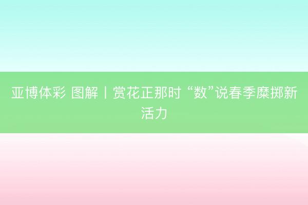 亚博体彩 图解丨赏花正那时 “数”说春季糜掷新活力