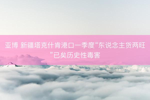 亚博 新疆塔克什肯港口一季度“东说念主货两旺”已矣历史性毒害
