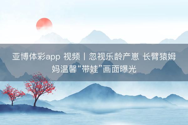 亚博体彩app 视频丨忽视乐龄产崽 长臂猿姆妈温馨“带娃”画面曝光