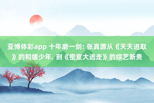 亚博体彩app 十年磨一剑: 张真源从《天天进取》的和缓少年， 到《密室大逃走》的综艺新贵
