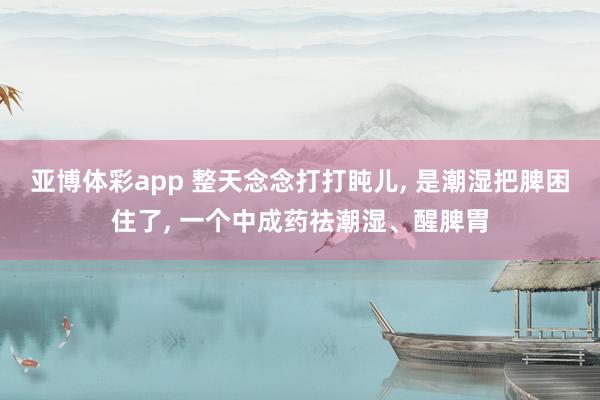 亚博体彩app 整天念念打打盹儿， 是潮湿把脾困住了， 一个中成药祛潮湿、醒脾胃