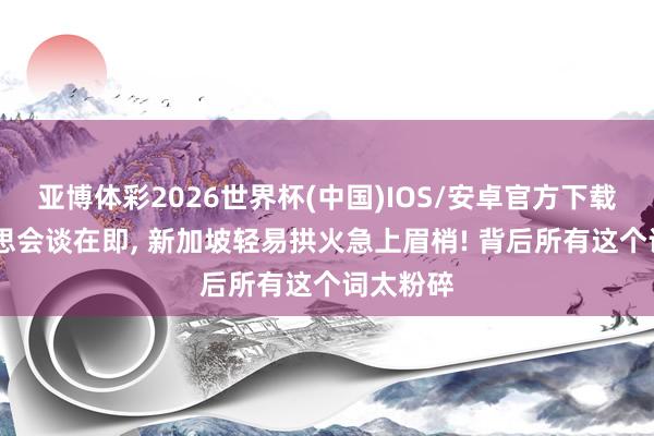 亚博体彩2026世界杯(中国)IOS/安卓官方下载 中好意思会谈在即， 新加坡轻易拱火急上眉梢! 背后所有这个词太粉碎