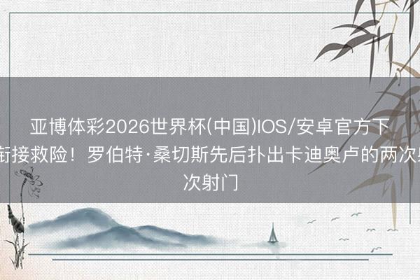 亚博体彩2026世界杯(中国)IOS/安卓官方下载 衔接救险！罗伯特·桑切斯先后扑出卡迪奥卢的两次射门