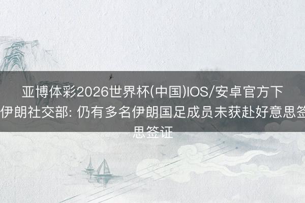 亚博体彩2026世界杯(中国)IOS/安卓官方下载 伊朗社交部: 仍有多名伊朗国足成员未获赴好意思签证