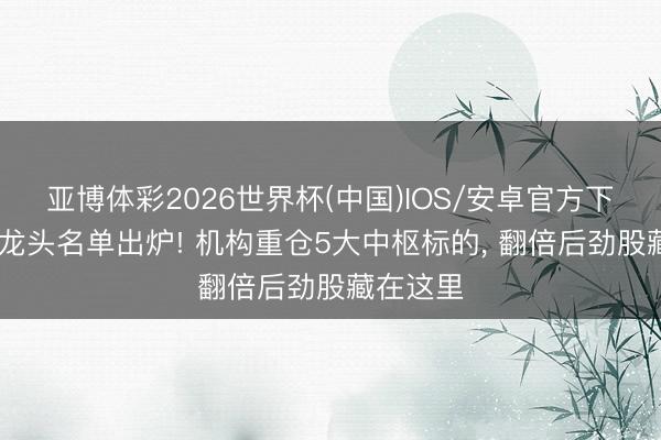 亚博体彩2026世界杯(中国)IOS/安卓官方下载 电力龙头名单出炉! 机构重仓5大中枢标的， 翻倍后劲股藏在这里