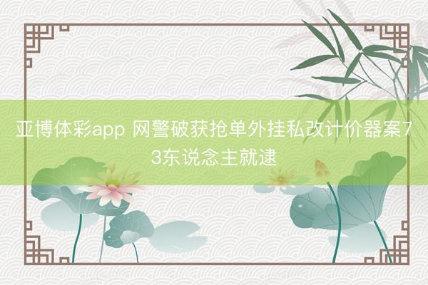 亚博体彩app 网警破获抢单外挂私改计价器案73东说念主就逮