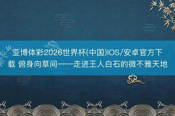 亚博体彩2026世界杯(中国)IOS/安卓官方下载 俯身向草间——走进王人白石的微不雅天地
