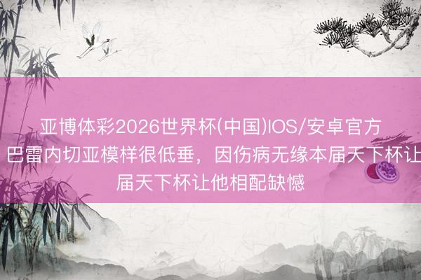 亚博体彩2026世界杯(中国)IOS/安卓官方下载 世体：巴雷内切亚模样很低垂，因伤病无缘本届天下杯让他相配缺憾