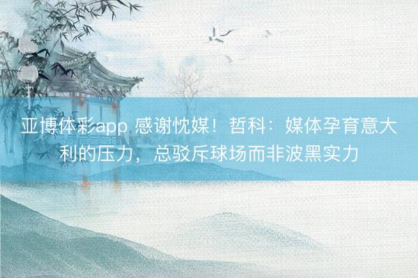 亚博体彩app 感谢忱媒！哲科：媒体孕育意大利的压力，总驳斥球场而非波黑实力