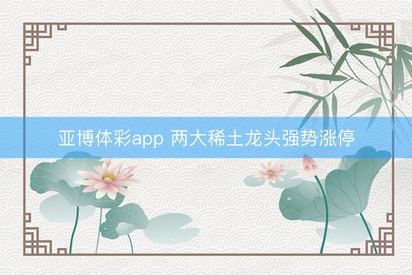 亚博体彩app 两大稀土龙头强势涨停